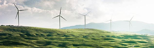 Wind power, construction, telecoms and customer experience.